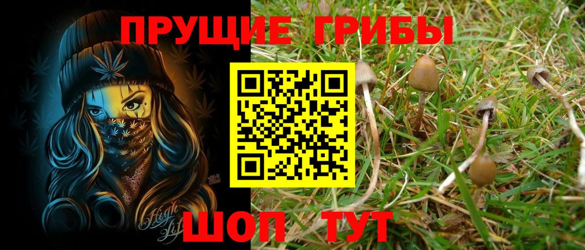 Топки  Галлюциногенные грибы Psilocybe  Вход с VPN 