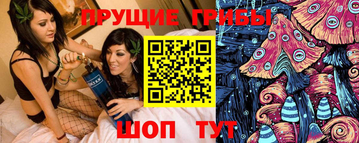 Галлюциногенные грибы Psilocybe Топки